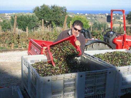 Agroturismo L'orso E L'ape B&B