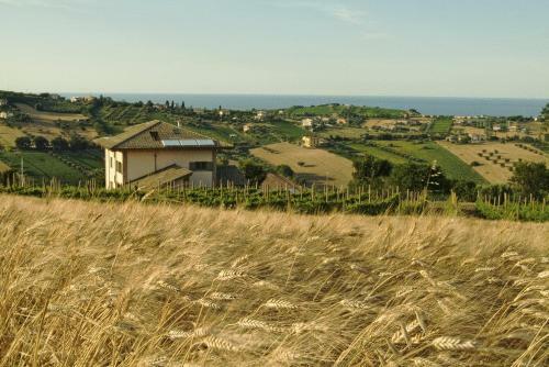 Agroturismo L'orso E L'ape B&B