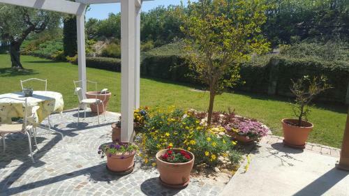 Agroturismo L'orso E L'ape B&B