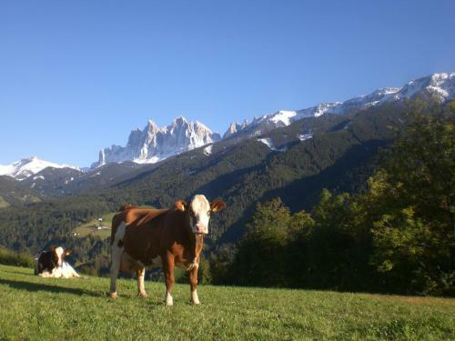 Agroturismo Gasleidhof
