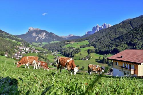Apartamento Jaiterhof