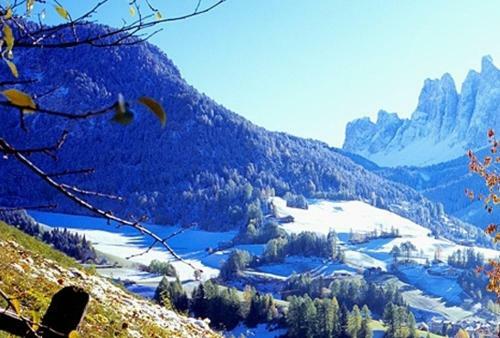 Apartamento Galreidhof