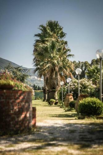 Apartamento Tortuga Casa Vacanze