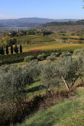 Agroturismo Borgo Poneta
