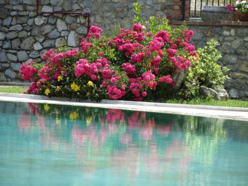 Agroturismo Agriturismo Borghetto Il Montino