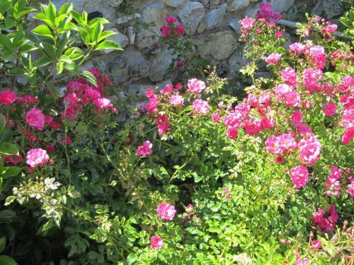 Agroturismo Agriturismo Borghetto Il Montino