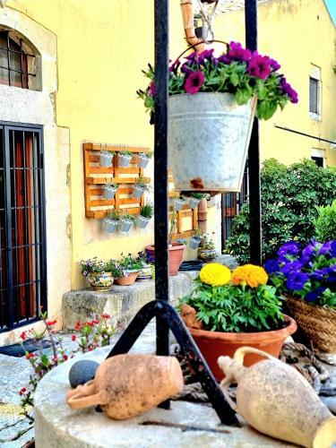 B&B Camemi - Antica Masseria