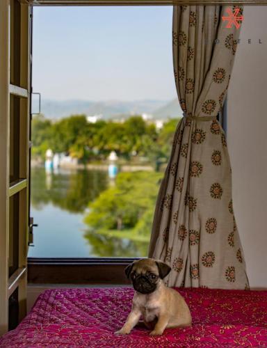 Albergue Zostel Udaipur