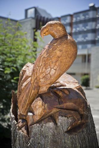 Hotel Central City Accommodation, Palmerston North