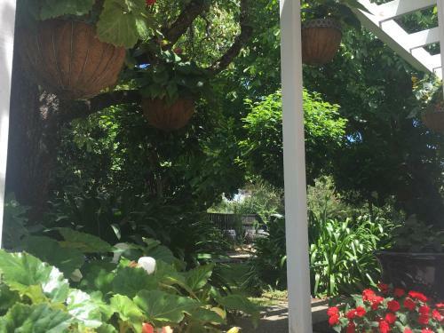 Hostal Aylstone Martinborough