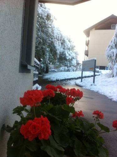 Apartamento Residenz Ambassador A22