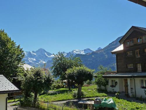 Apartment Goldenhorn