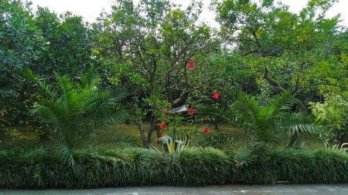 Hostal Guesthouse Green Oasis