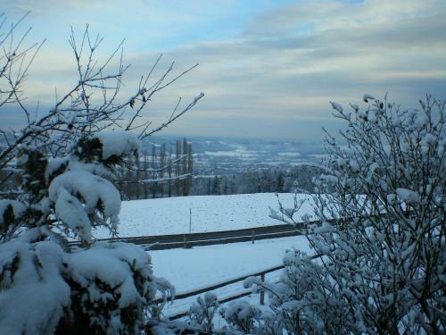 Agroturismo Wiesenbauer - Schl�gl Anton