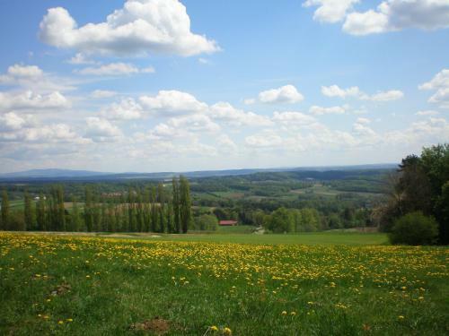 Agroturismo Wiesenbauer - Schl�gl Anton