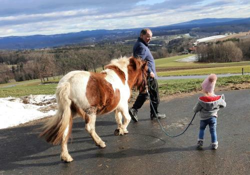 Agroturismo Wiesenbauer - Schl�gl Anton