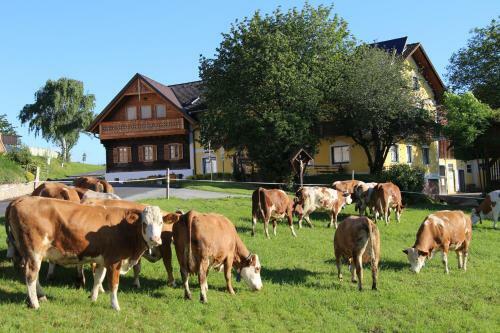 Agroturismo Wiesenbauer - Schl�gl Anton