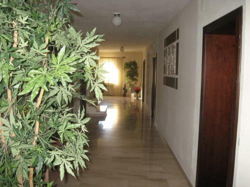 Hostal Gasthof Pension Steinberger