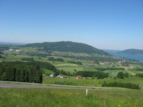 Hostal Gasthof Pension Steinberger