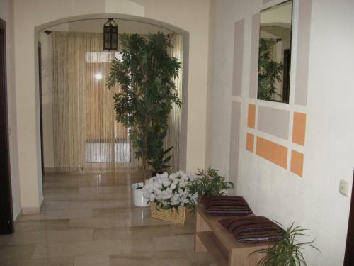 Hostal Gasthof Pension Steinberger