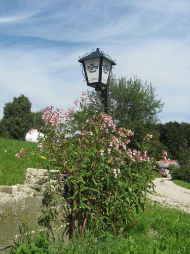 Hostal Gasthof Pension Steinberger