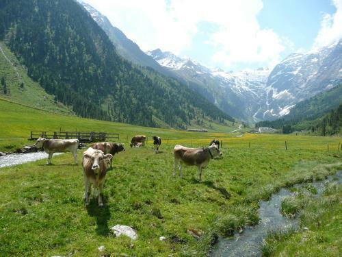 Hostal G�stehaus Landhaus Tyrol