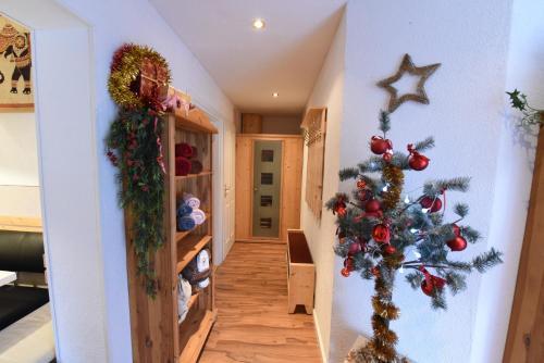 Apartment Fernerkogel