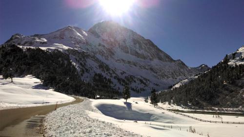 Apartment Fernerkogel