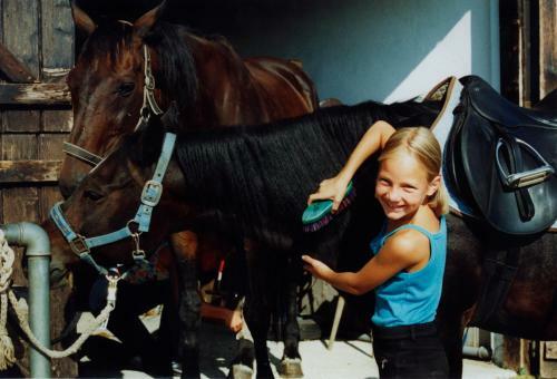 Hotel Sportgasthof Lipp