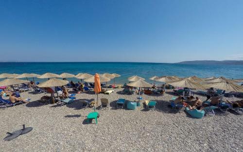 Apartamento Aliki Studios