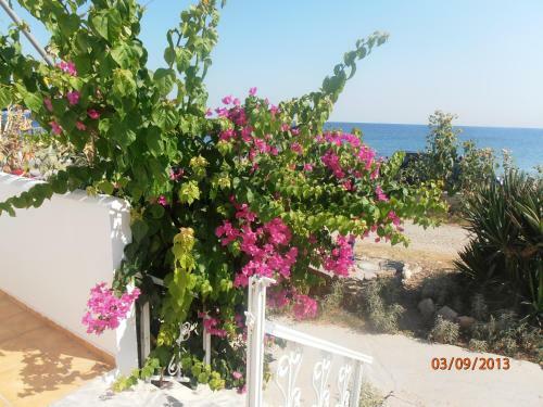 Aparthotel Iro Apartments