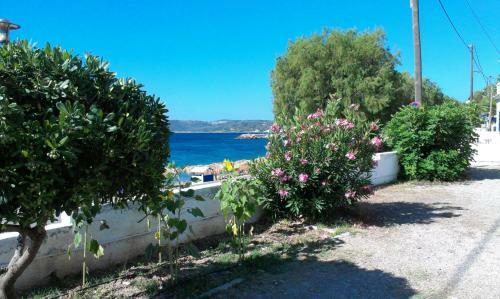 Aparthotel Iro Apartments