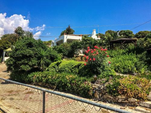 Vasilikos Apartments