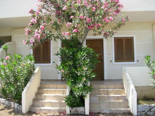 Aparthotel Skoutari Beach Hotel