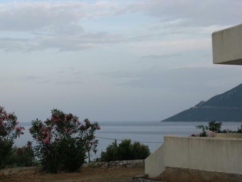 Aparthotel Skoutari Beach Hotel