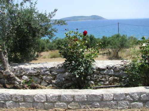 Aparthotel Skoutari Beach Hotel