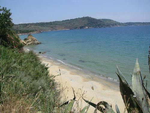 Aparthotel Skoutari Beach Hotel