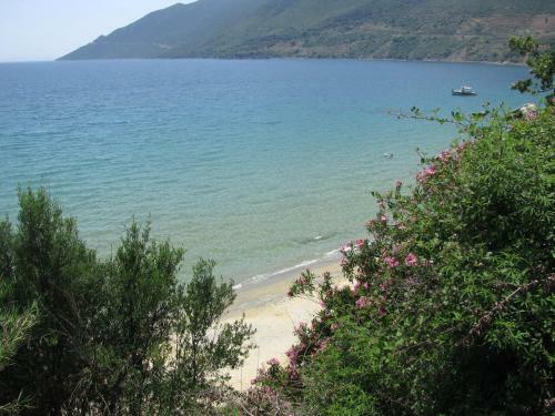 Aparthotel Skoutari Beach Hotel