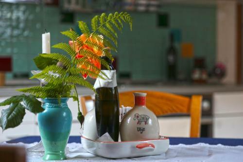 Hostal Pansion Tramontana