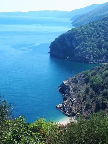Hostal Pansion Tramontana