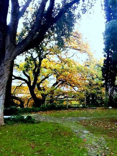 Bed & Breakfast Relais La Canfora