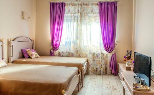 Hostal Pensiunea Agroturistica Floare De Camp