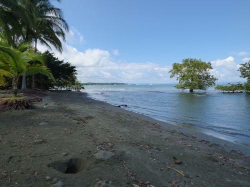 Corcovado Beach Lodge