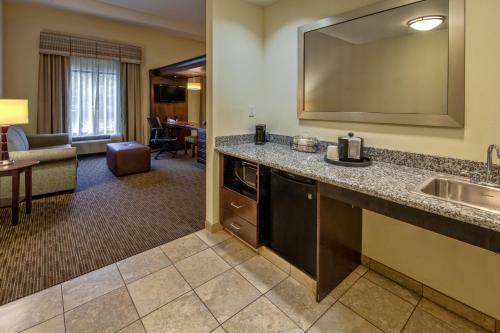 Hotel Hampton Inn & Suites Birmingham/280 East-eagle Point
