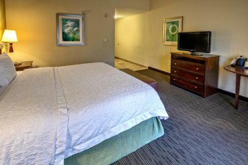 Hotel Hampton Inn & Suites Birmingham/280 East-eagle Point