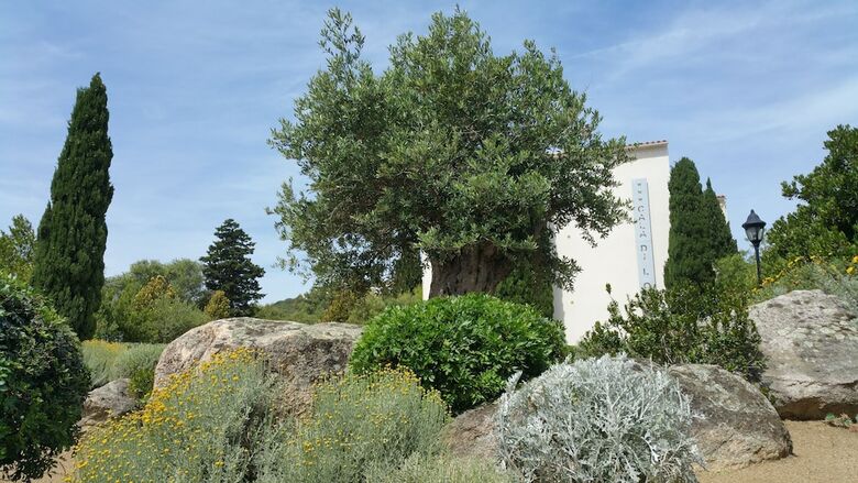Hotel Cala Di L'oru
