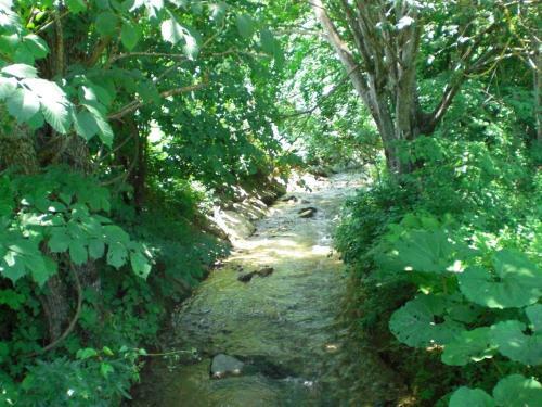 Hostal Gasthof Pension Lamprecht