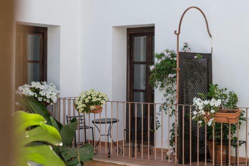 Apartamentos Los Patios De La Juder�a