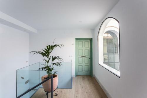 Apartamentos Los Patios De La Juder�a