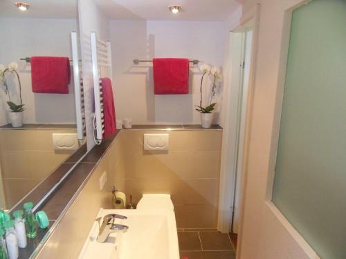 Apartamento Haus Maximilian
